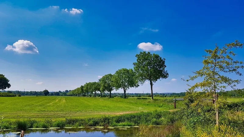 Landschaft am Niederrhein mit Wiese, Bäumen und Wasser